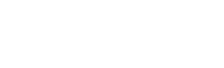 Talent HR Consulting